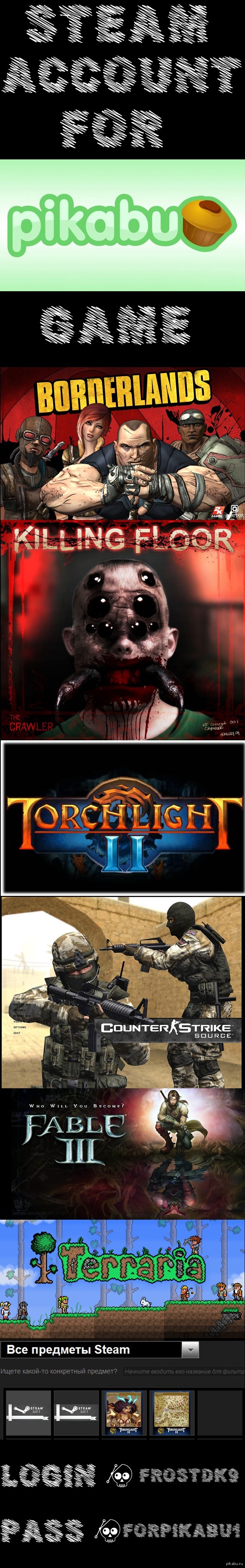 Steam account