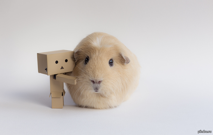 ����������� ������� ������.