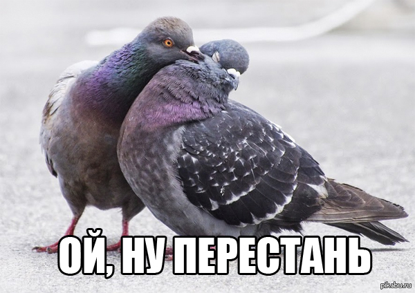 Ой, ну перестань...
