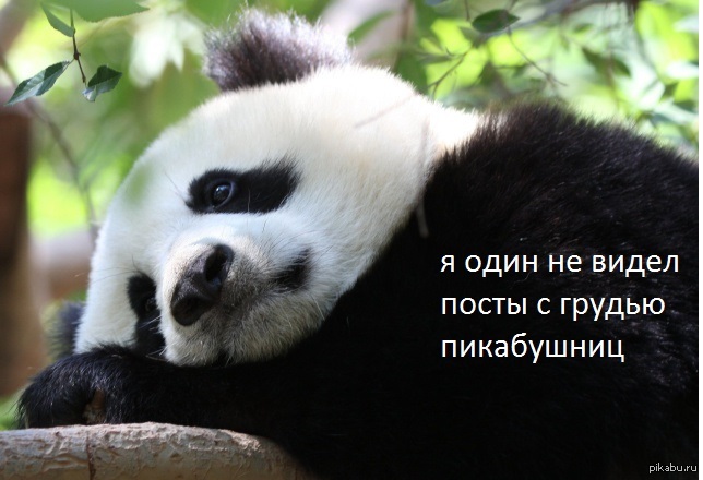 �� ,��� ������������� ���?!