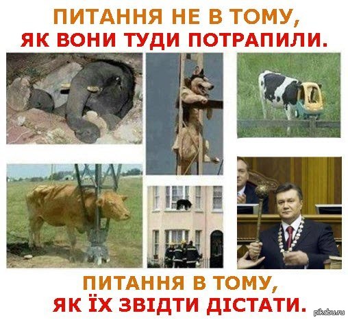 Вопрос не в том как они туда попали, а как их оттуда досать?