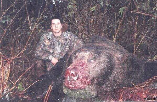 Bear-eater, killed by a hunter. - NSFW, The Bears, Hunter, Hunting