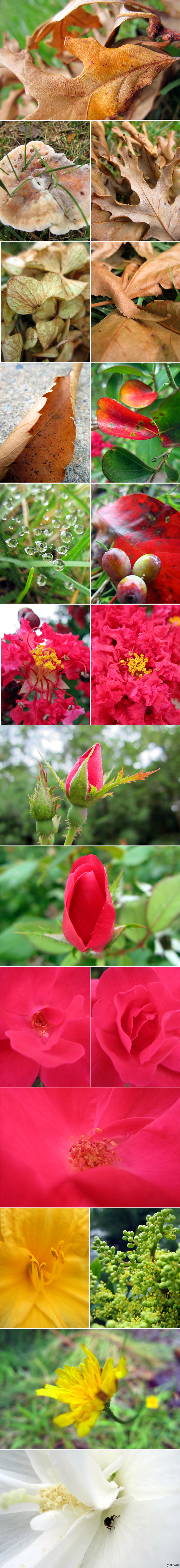 Мой Август в фотографиях 2 (длиннопост)