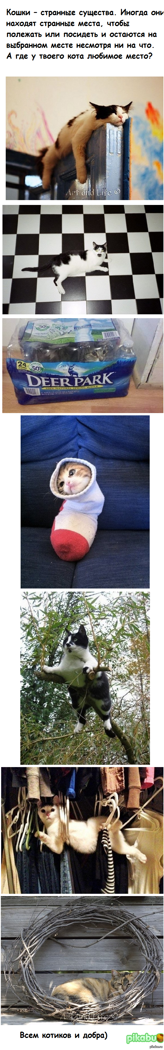 ������...��� �����