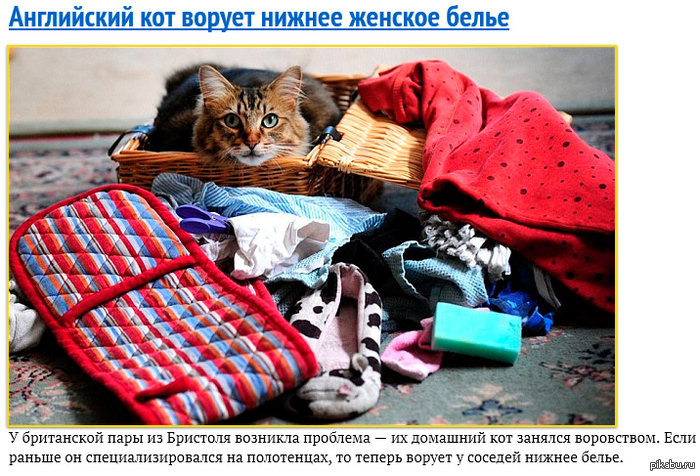 ��� ���������� :-)