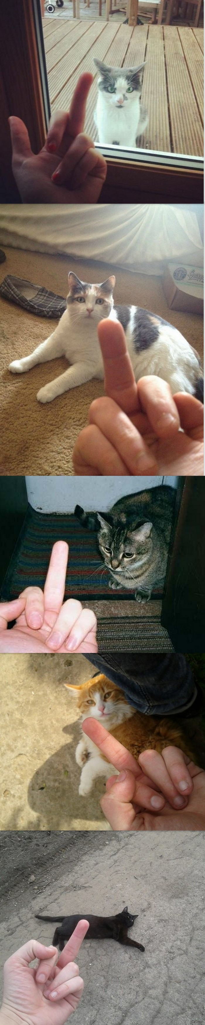      -,  ,   ,  .