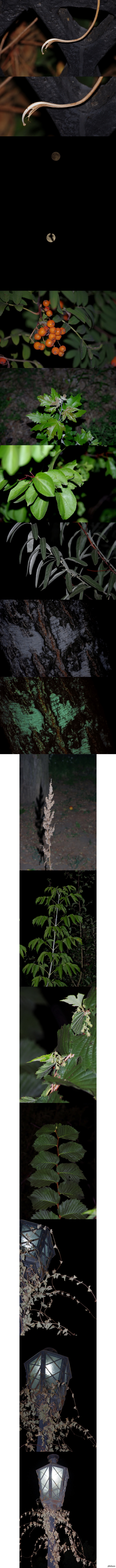 ���� ������, ����� �������� �� ����� � �������