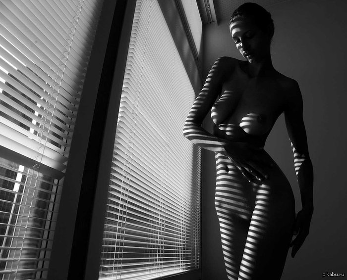 Black & White - NSFW, Beautiful girl, The photo, Blinds, Black and white