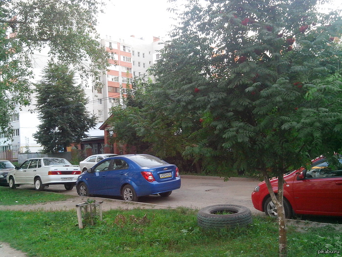 ��� �� - ��������� ����������