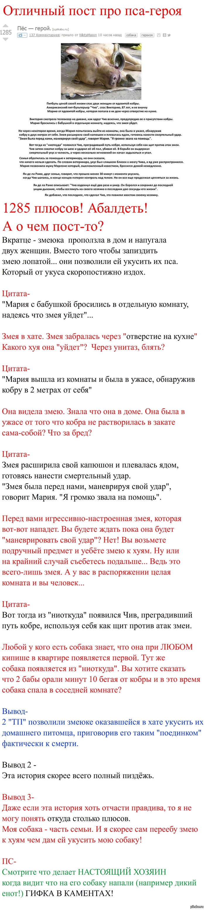 Дурацкий пост про пса-героя