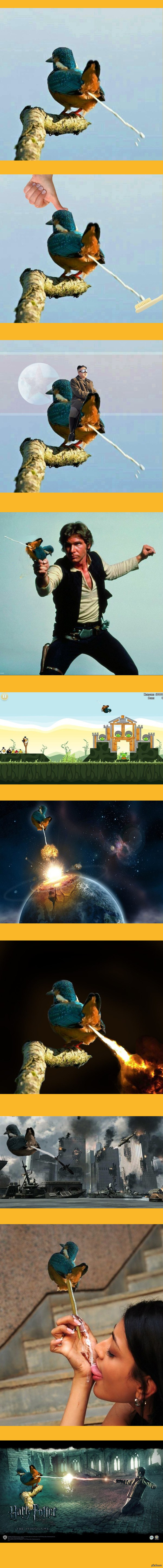 История одной птицы