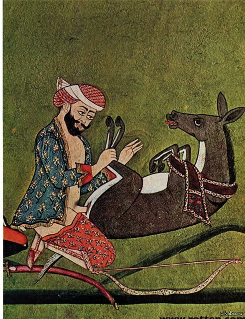 A devout Islamist takes birth from an exhausted donkey - NSFW, Engraving, Veterinary