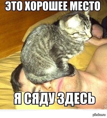 ��� ������� �����. � ����� ����.