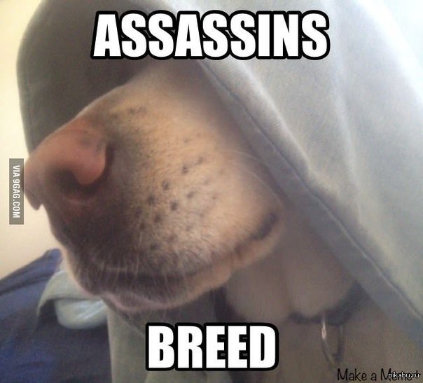 ϸ� �������