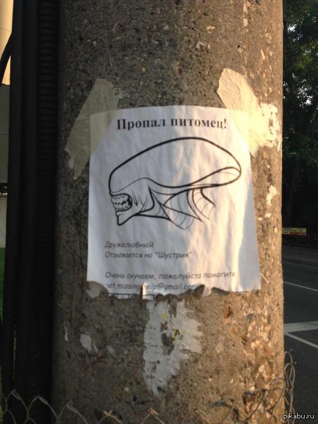 �������������� ����������!