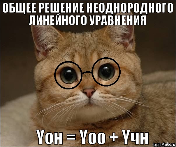 Котенька и диффуры