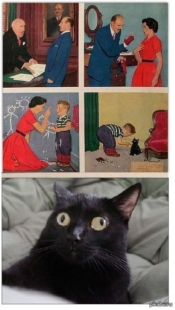 ����, �� �����������