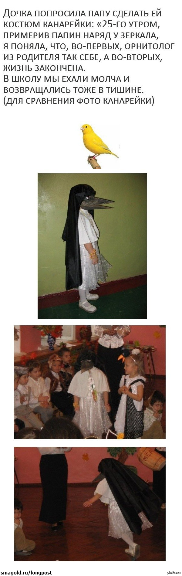 Дочка спрашивает папу. Костюм кентавра и канарейки. Костюм кентавра детский. Папа сделал костюм канарейки для Дочки. Костюм кентавра детский и канарейки.