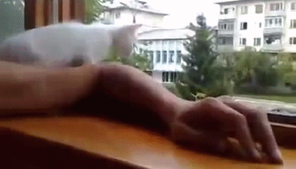 ����������� ���� ������ �� �����)