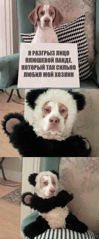 ������������ :(