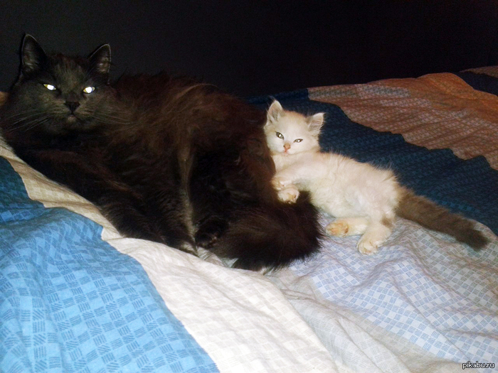 ����� ������