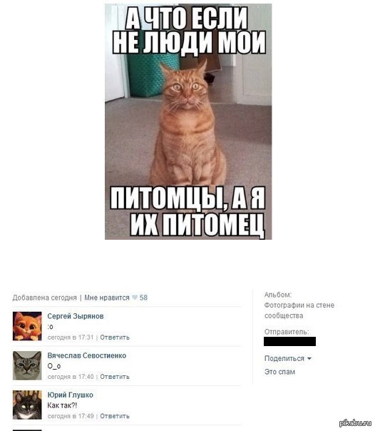 Жизнь меняется мы меняемся. День нытика открытка. Господи,дорогой вы мне человек. С днем психического здоровья прикольные. Мой парень мем.