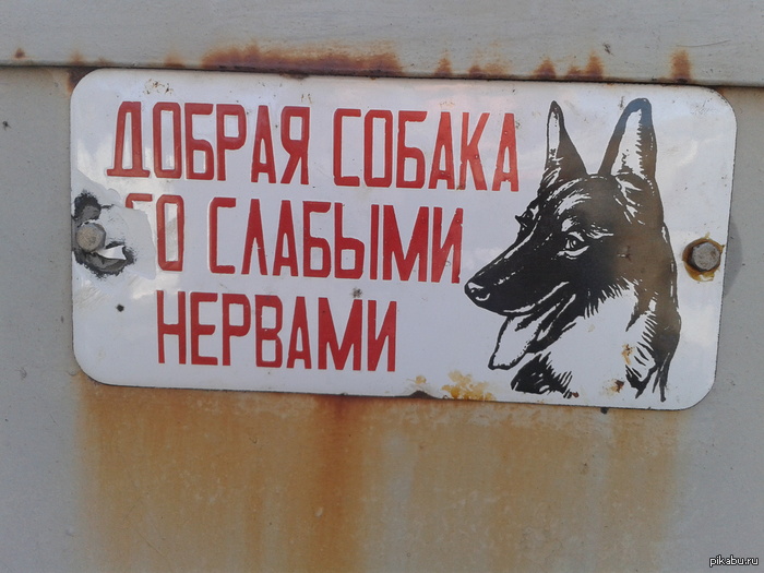 Добрая собака... | Пикабу