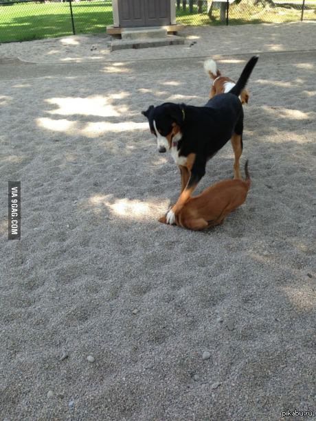 Где мои деньги?