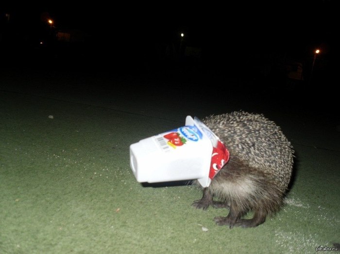 ���� �� ���������� ������_)