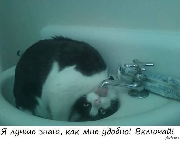 ������� ������� ���