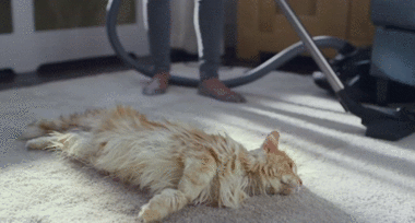 ΠΌΠ΅ΠΌ Π±Π΅Π· ΡΠΈΡ ΠΆΠΈΡΡ ΠΌΠΎΠΆΠ½ΠΎ Π½ΠΎ Π³ΡΡΡΡΠ½ΠΎ. Π‘ΠΌΠΎΡΡΠ΅ΡΡ ΡΠΎΡΠΎ ΠΌΠ΅ΠΌ Π±Π΅Π· ΡΠΈΡ ΠΆΠΈΡΡ ΠΌΠΎΠΆΠ½ΠΎ Π½ΠΎ Π³ΡΡΡΡΠ½ΠΎ. Π‘ΠΌΠΎΡΡΠ΅ΡΡ ΠΊΠ°ΡΡΠΈΠ½ΠΊΡ ΠΌΠ΅ΠΌ Π±Π΅Π· ΡΠΈΡ ΠΆΠΈΡΡ ΠΌΠΎΠΆΠ½ΠΎ Π½ΠΎ Π³ΡΡΡΡΠ½ΠΎ. ΠΠ°ΡΡΠΈΠ½ΠΊΠ° ΠΏΡΠΎ ΠΌΠ΅ΠΌ Π±Π΅Π· ΡΠΈΡ ΠΆΠΈΡΡ ΠΌΠΎΠΆΠ½ΠΎ Π½ΠΎ Π³ΡΡΡΡΠ½ΠΎ. Π€ΠΎΡΠΎ ΠΌΠ΅ΠΌ Π±Π΅Π· ΡΠΈΡ ΠΆΠΈΡΡ ΠΌΠΎΠΆΠ½ΠΎ Π½ΠΎ Π³ΡΡΡΡΠ½ΠΎ ΠΌΠ΅ΠΌ Π±Π΅Π· ΡΠΈΡ ΠΆΠΈΡΡ ΠΌΠΎΠΆΠ½ΠΎ Π½ΠΎ Π³ΡΡΡΡΠ½ΠΎ. Π‘ΠΌΠΎΡΡΠ΅ΡΡ ΡΠΎΡΠΎ ΠΌΠ΅ΠΌ Π±Π΅Π· ΡΠΈΡ ΠΆΠΈΡΡ ΠΌΠΎΠΆΠ½ΠΎ Π½ΠΎ Π³ΡΡΡΡΠ½ΠΎ. Π‘ΠΌΠΎΡΡΠ΅ΡΡ ΠΊΠ°ΡΡΠΈΠ½ΠΊΡ ΠΌΠ΅ΠΌ Π±Π΅Π· ΡΠΈΡ ΠΆΠΈΡΡ ΠΌΠΎΠΆΠ½ΠΎ Π½ΠΎ Π³ΡΡΡΡΠ½ΠΎ. ΠΠ°ΡΡΠΈΠ½ΠΊΠ° ΠΏΡΠΎ ΠΌΠ΅ΠΌ Π±Π΅Π· ΡΠΈΡ ΠΆΠΈΡΡ ΠΌΠΎΠΆΠ½ΠΎ Π½ΠΎ Π³ΡΡΡΡΠ½ΠΎ. Π€ΠΎΡΠΎ ΠΌΠ΅ΠΌ Π±Π΅Π· ΡΠΈΡ ΠΆΠΈΡΡ ΠΌΠΎΠΆΠ½ΠΎ Π½ΠΎ Π³ΡΡΡΡΠ½ΠΎ