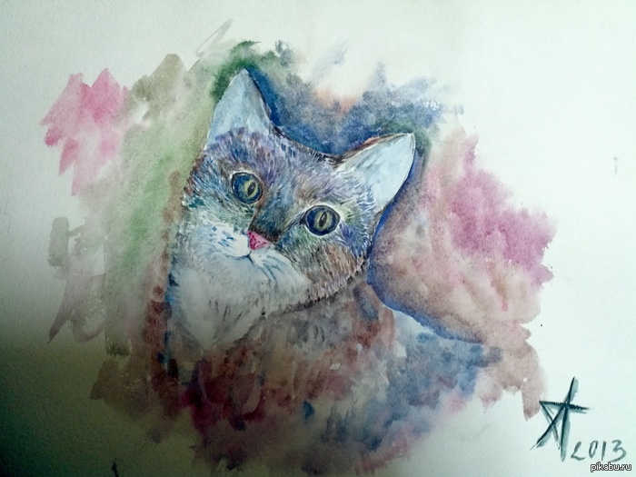Радужные котики