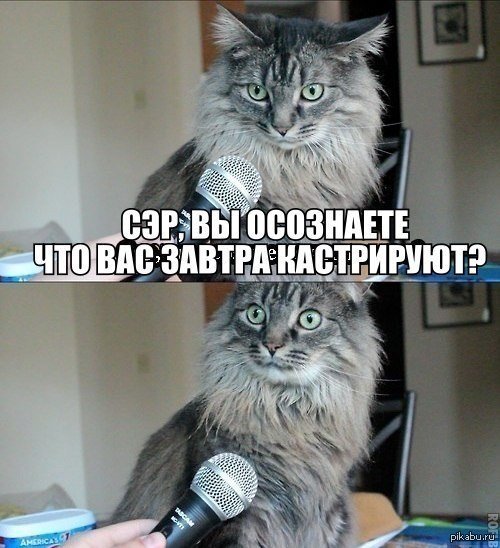 ������ �������...