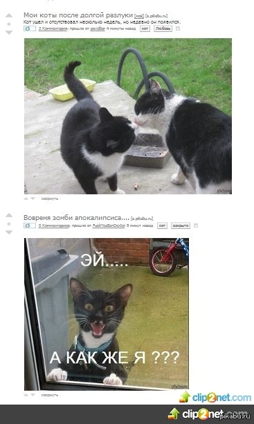 ����� "�������". ������� � ������ =(