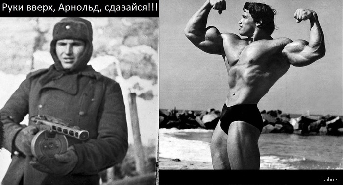 Арнольд сдаётся.