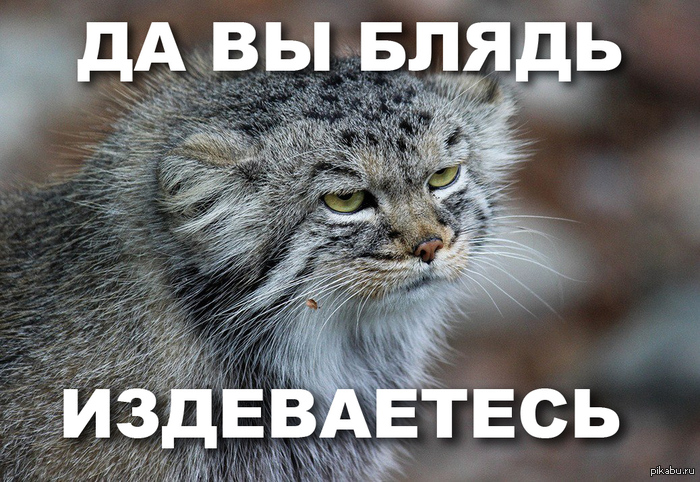 ������ ���� ������ � ������� �����