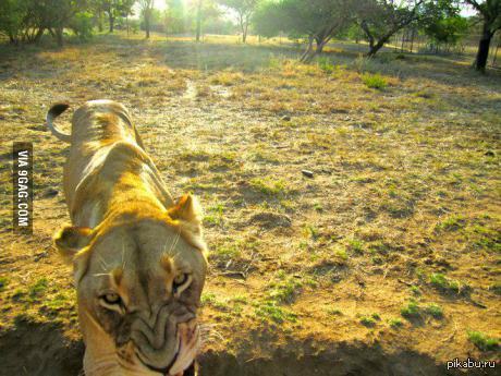 &quot;     &quot; &quot;  &quot;