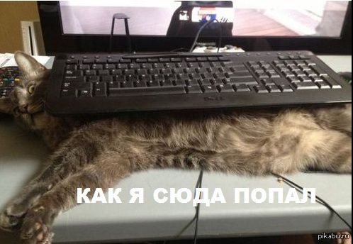 ����� ����� ������...
