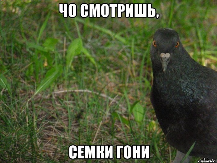 ����� ��� �� ������))