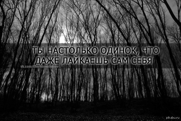 Что такое безысходность. Безысходность лес. Лес тлен. Тлен и безысходность. Тлен фон.