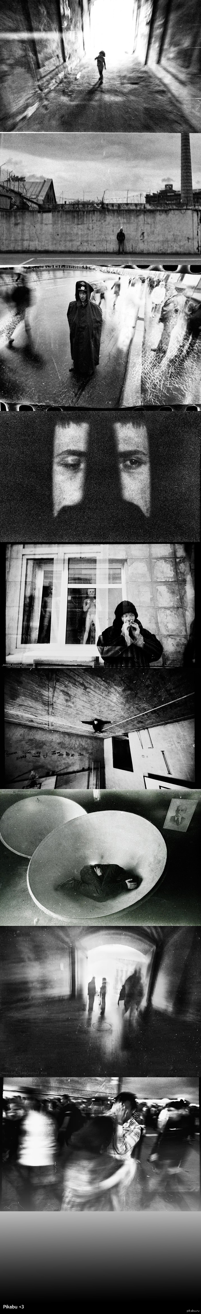 Ignat Shorohov - "Selected Works"