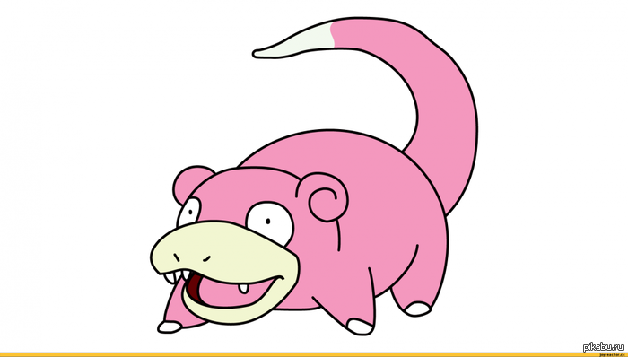 �����, ����� ������!