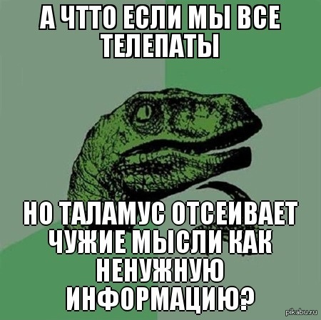 �������� ����� ��������