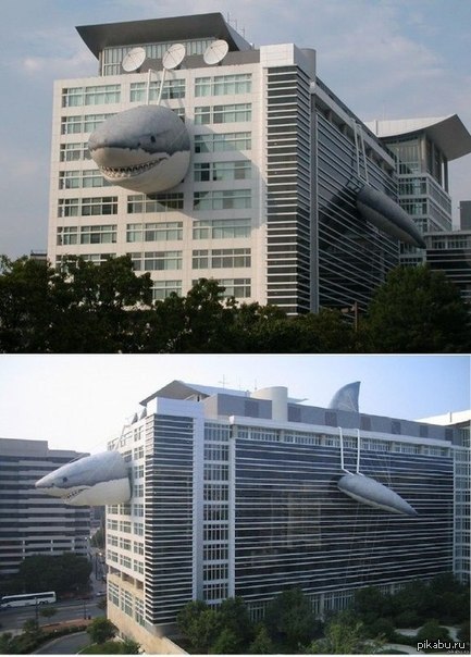 ���� ������ Discovery