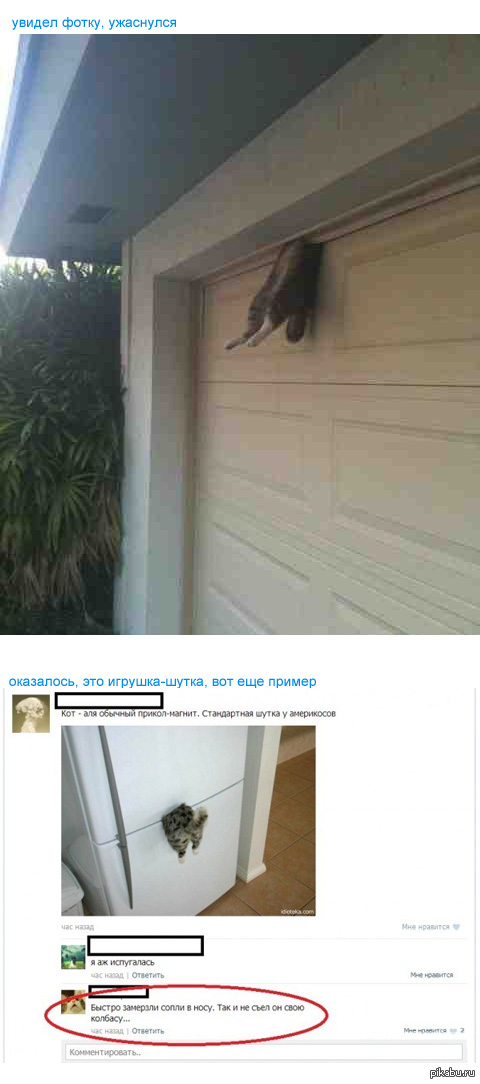 ������ �����, ���������