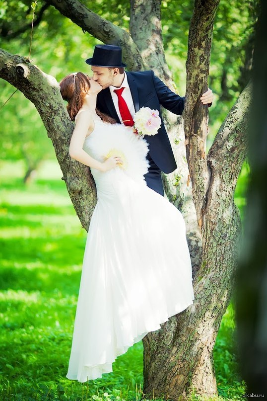 Ну что ж товарищи! Вот я и женился!