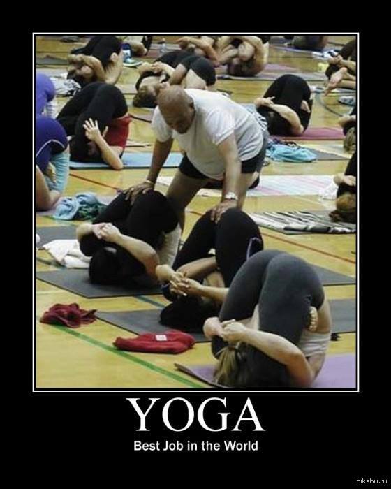 Best job )) - NSFW, Work, Yoga, Humor