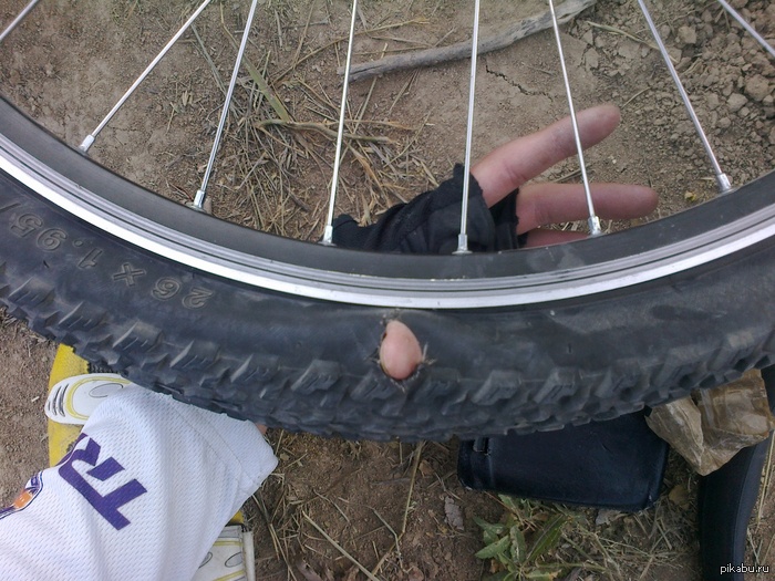  ,,      (MTB),  ,   ,     (   ,   ,?)