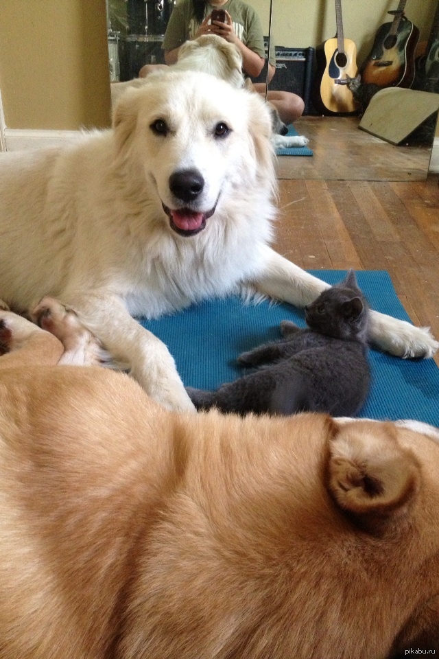 � ��� ������ ���, ����� � ����� ������, ����� �������� �����