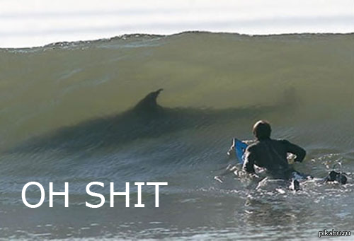 ����� ���� ���������� ����������